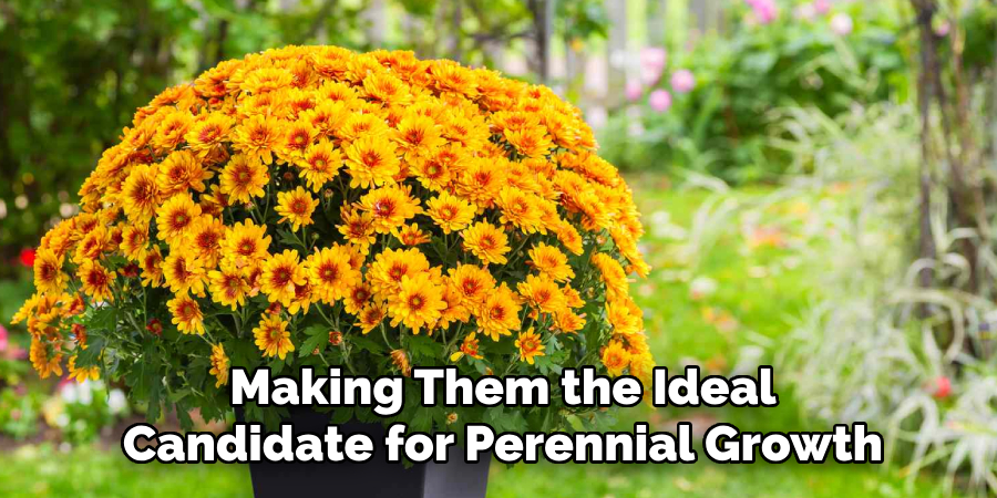 Making Them the Ideal
Candidate for Perennial Growth