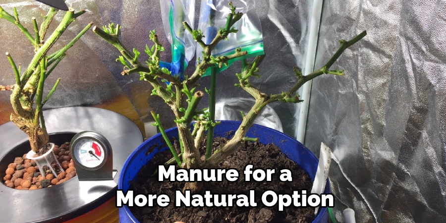 Manure for a
More Natural Option