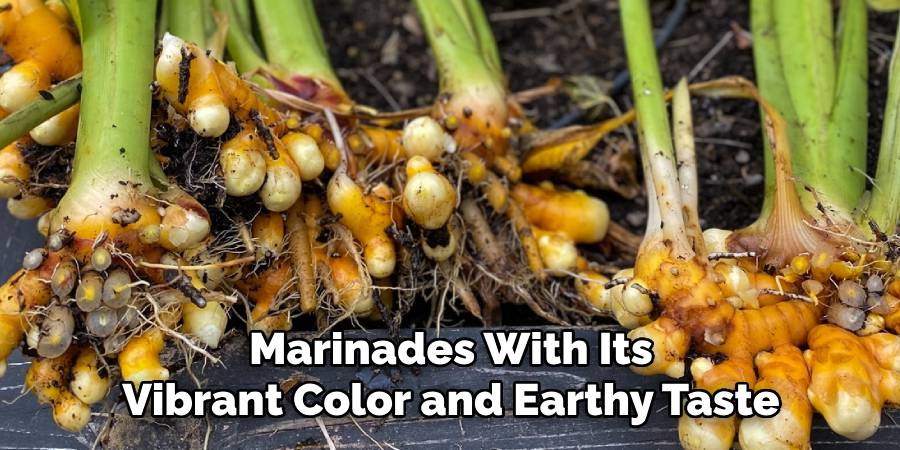 Marinades With Its
Vibrant Color and Earthy Taste
