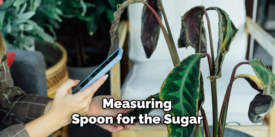 Measuring
Spoon for the Sugar