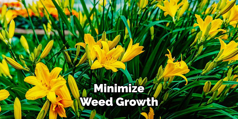 Minimize
Weed Growth