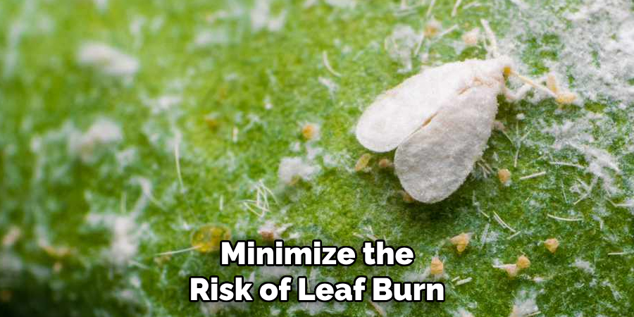Minimize the
Risk of Leaf Burn