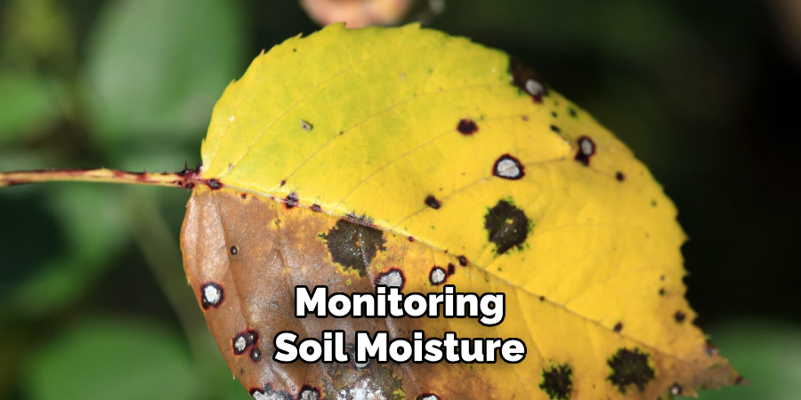 Monitoring
Soil Moisture