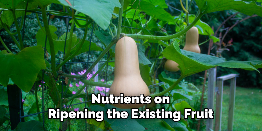 Nutrients on
Ripening the Existing Fruit