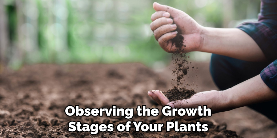 Observing the Growth
Stages of Your Plants
