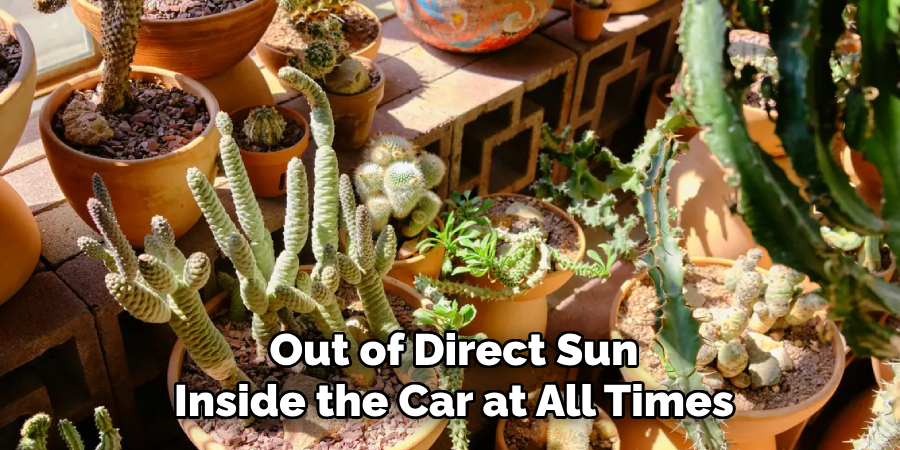 Out of Direct Sun
Inside the Car at All Times