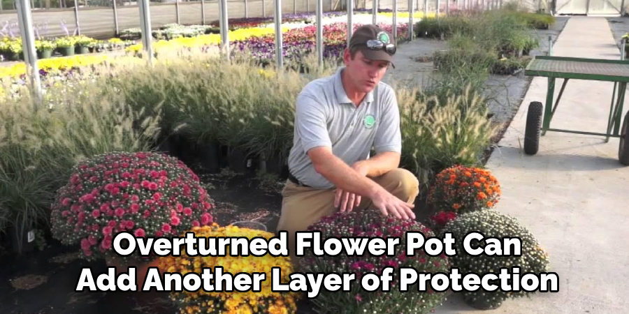 Overturned Flower Pot Can
Add Another Layer of Protection