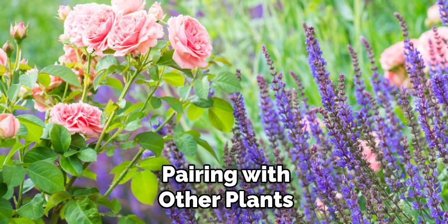 Pairing with Other Plants