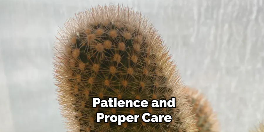 Patience and
Proper Care