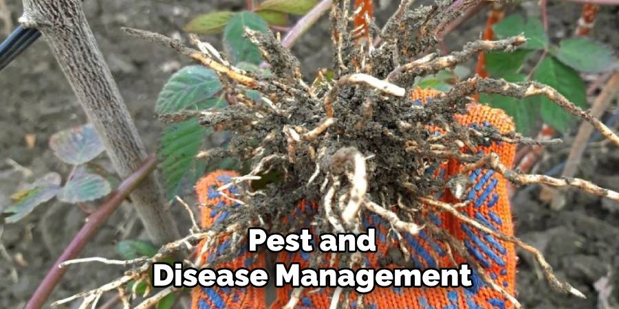Pest and Disease Management