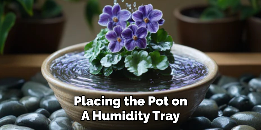 Placing the Pot on
A Humidity Tray