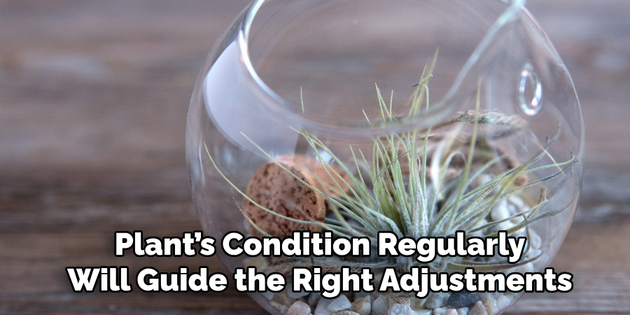 Plant’s Condition Regularly
Will Guide the Right Adjustments