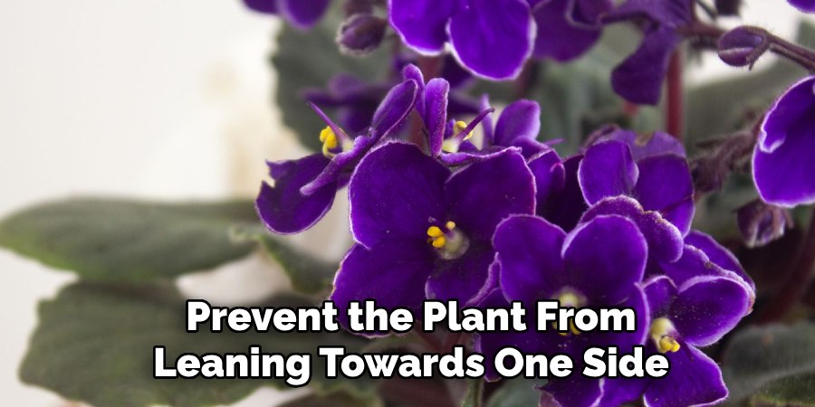 Prevent the Plant From
Leaning Towards One Side