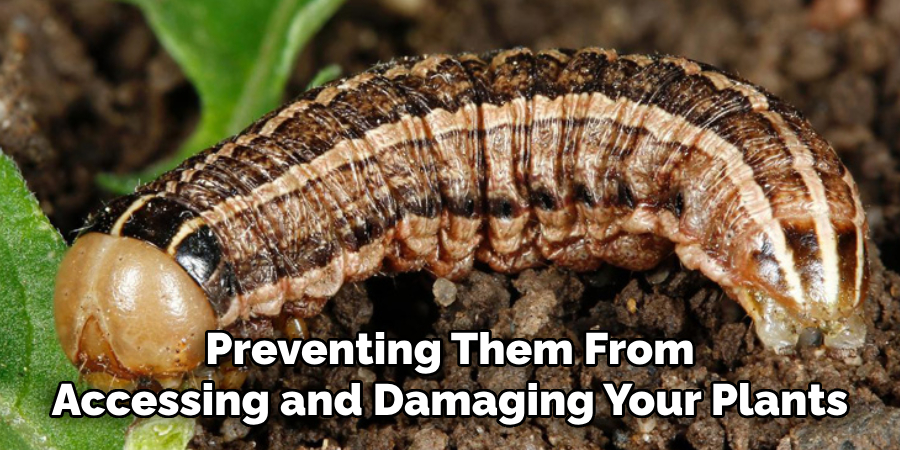Preventing Them From
Accessing and Damaging Your Plants