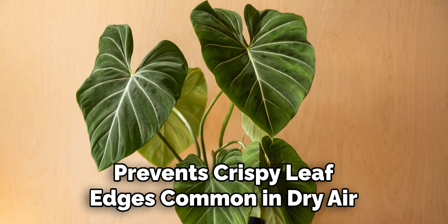 Prevents Crispy Leaf
Edges Common in Dry Air