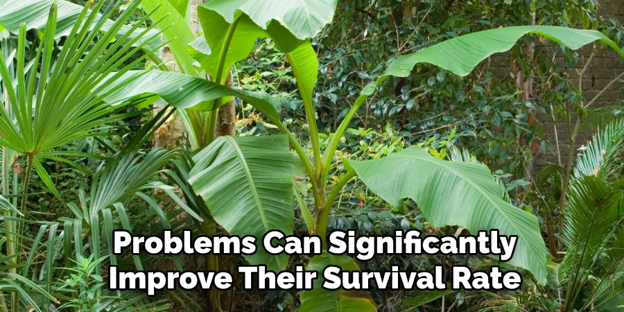 Problems Can Significantly
Improve Their Survival Rate
