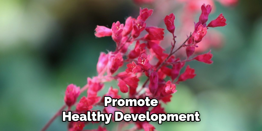 Promote
Healthy Development
