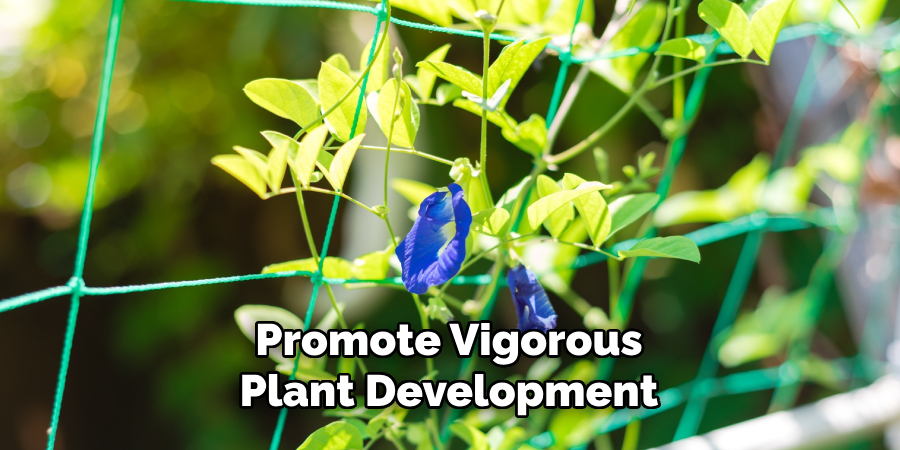 Promote Vigorous
Plant Development