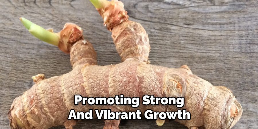 Promoting Strong
And Vibrant Growth