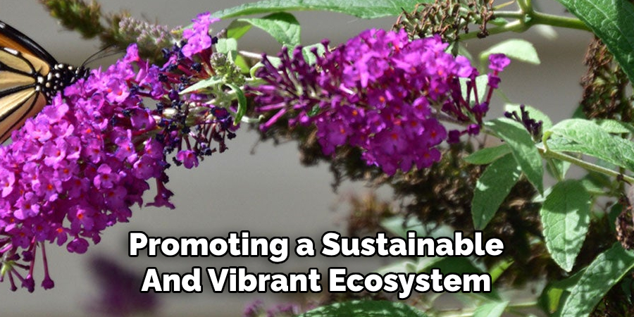 Promoting a Sustainable
And Vibrant Ecosystem