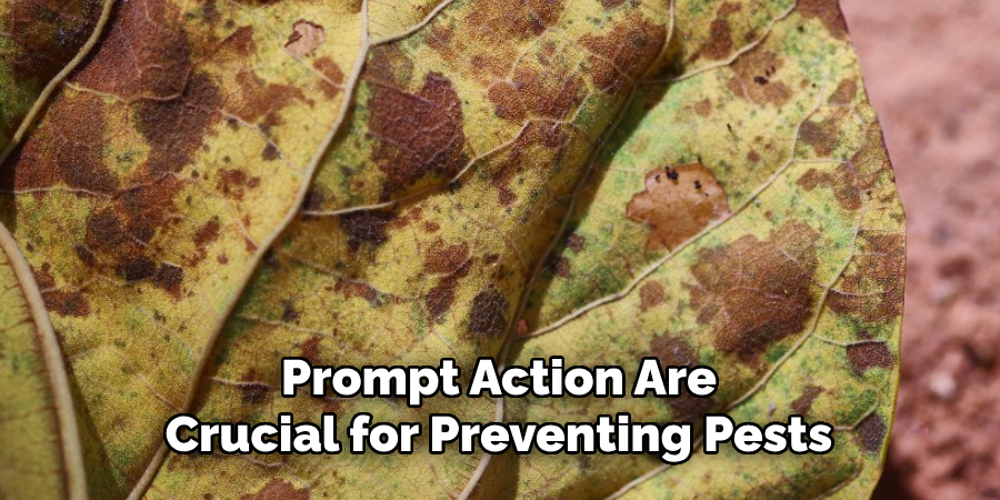 Prompt Action Are
Crucial for Preventing Pests