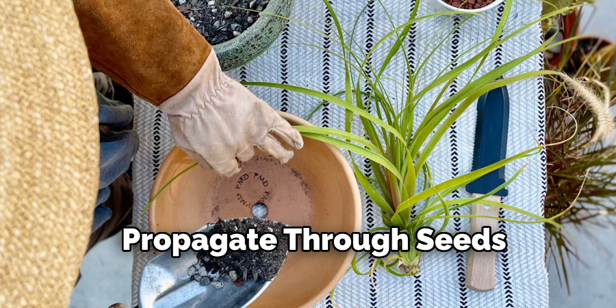 Propagate Through Seeds