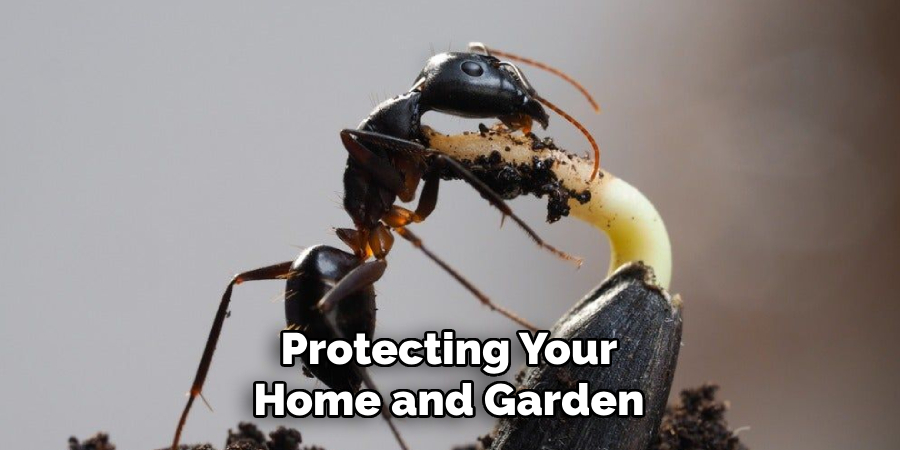 Protecting Your
Home and Garden