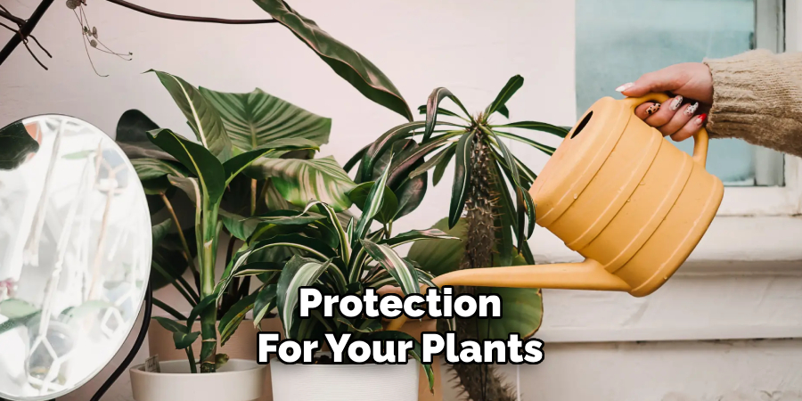 Protection
For Your Plants