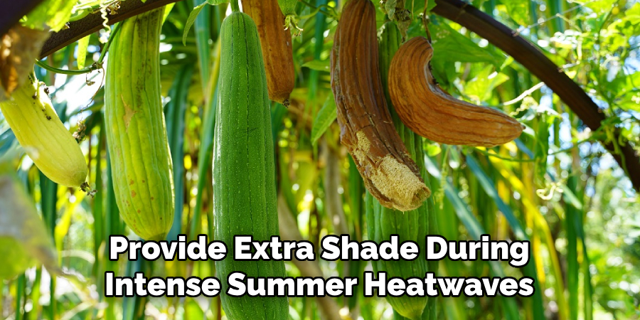Provide Extra Shade During
Intense Summer Heatwaves