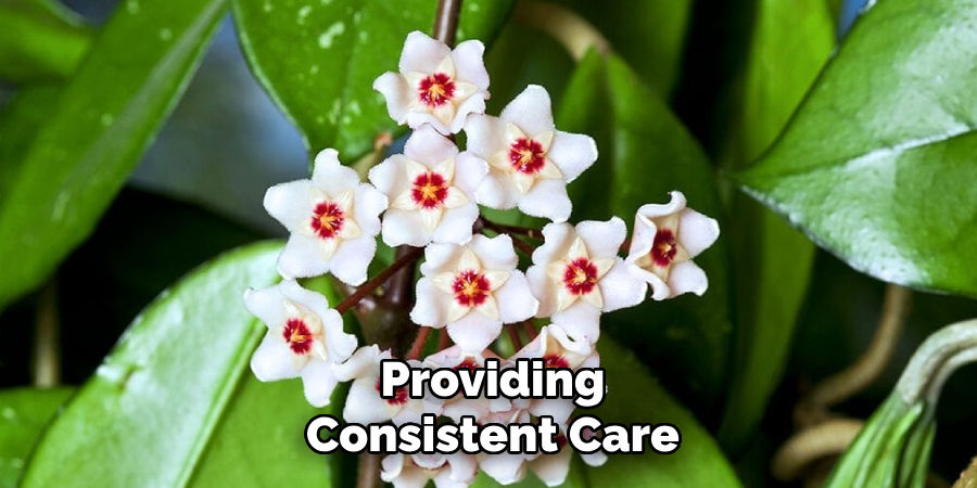 Providing
Consistent Care