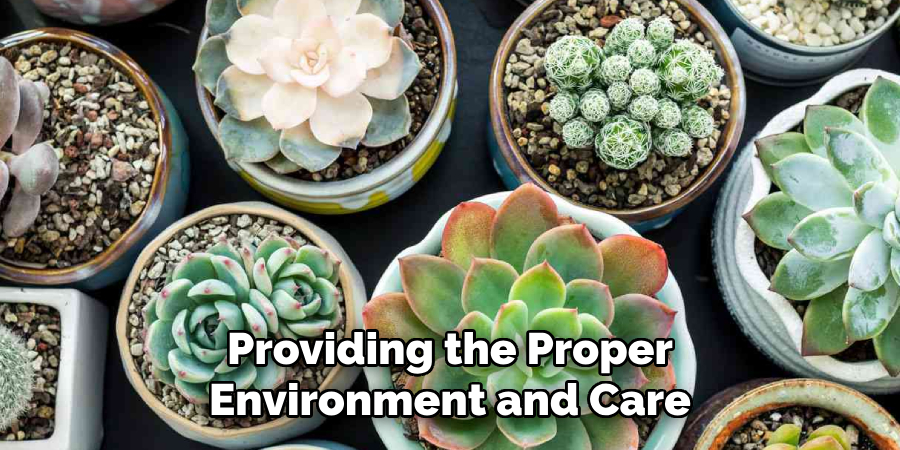 Providing the Proper
Environment and Care
