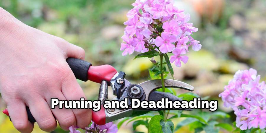 Pruning and Deadheading
