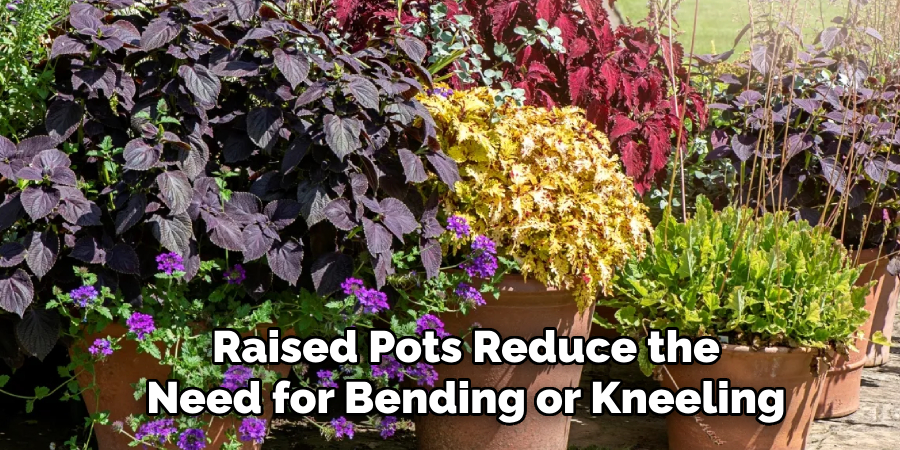 Raised Pots Reduce the
Need for Bending or Kneeling