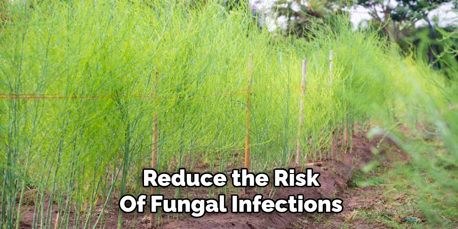 Reduce the Risk
Of Fungal Infections