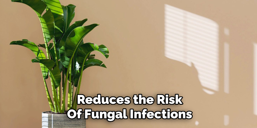 Reduces the Risk
Of Fungal Infections