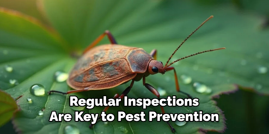 Regular Inspections
Are Key to Pest Prevention