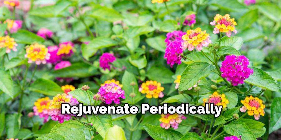 Rejuvenate Periodically