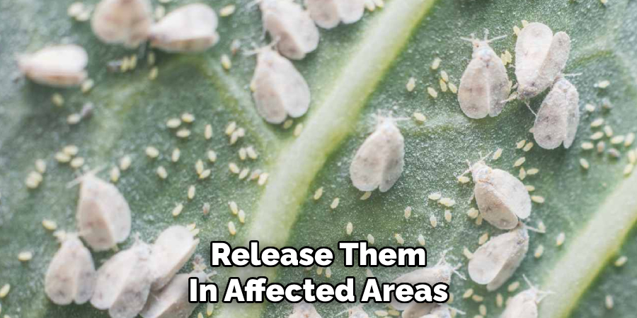 Release Them
In Affected Areas