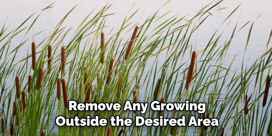 Remove Any Growing
Outside the Desired Area