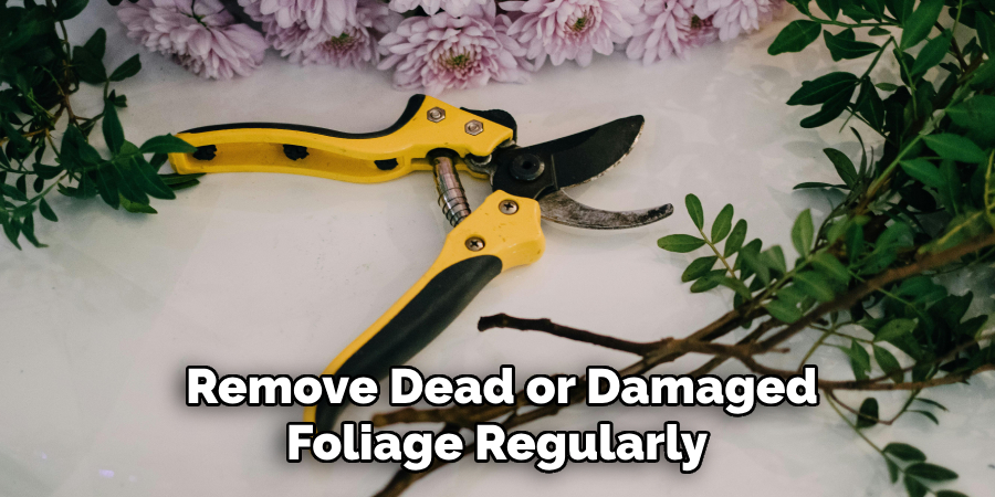 Remove Dead or Damaged
Foliage Regularly
