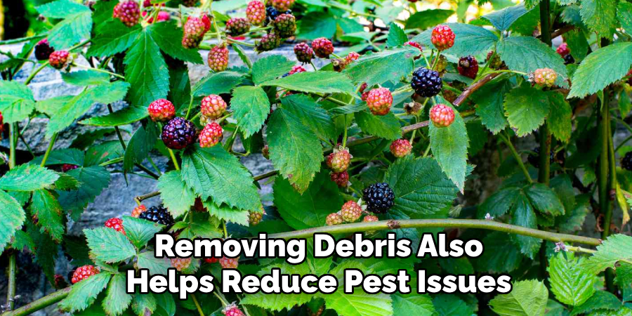 Removing Debris Also
Helps Reduce Pest Issues
