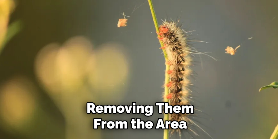 Removing Them
From the Area