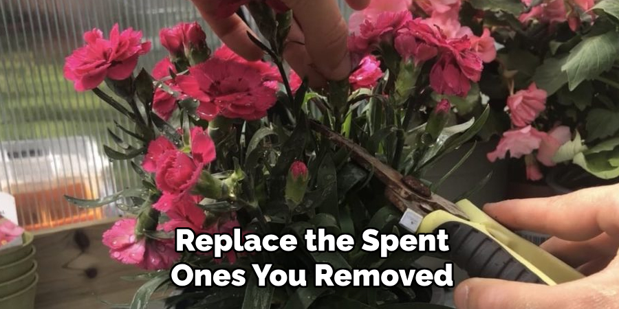 Replace the Spent
Ones You Removed