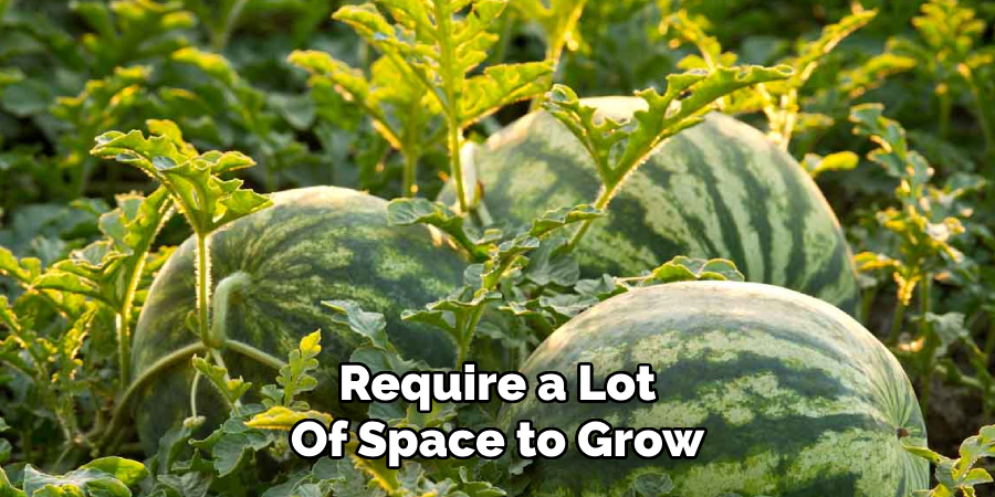 Require a Lot
Of Space to Grow