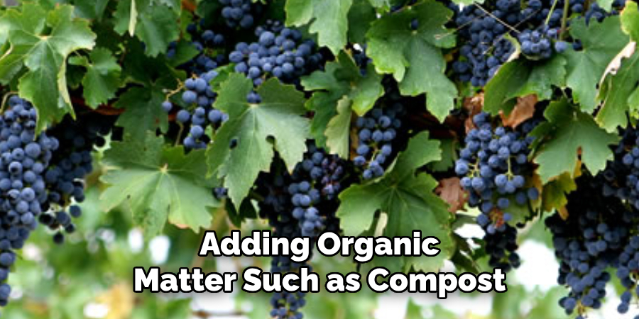 Adding Organic Matter Such as Compost