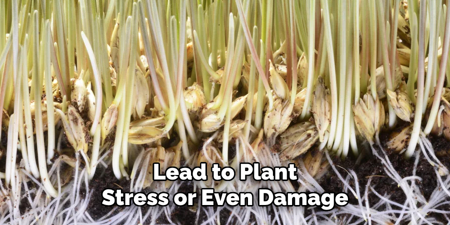 Lead to Plant Stress or Even Damage