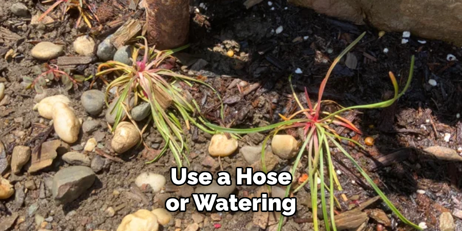 Use a Hose or Watering