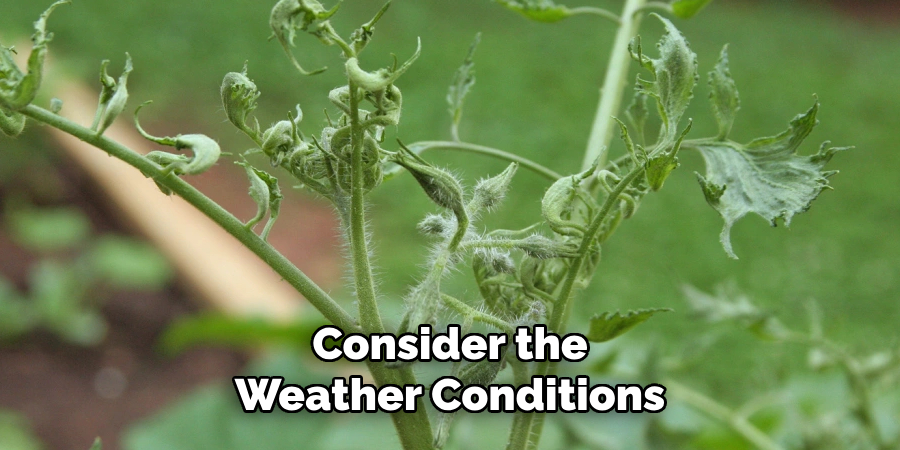 Consider the Weather Conditions
