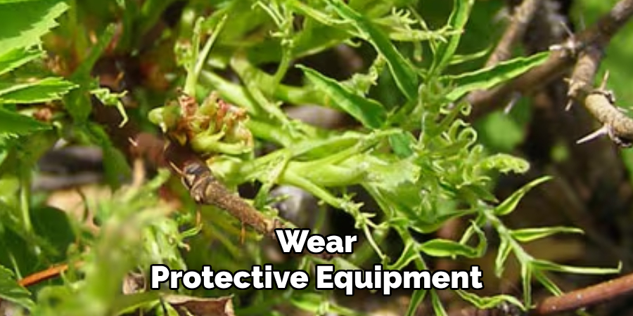 Wear Protective Equipment