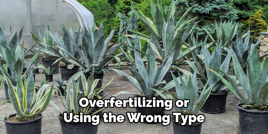 Overfertilizing or Using the Wrong Type